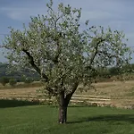 Vakantieboerderij Moresco Agriturismo