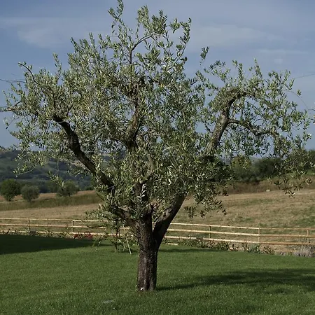 Alloggio per agriturismo Moresco Agriturismo