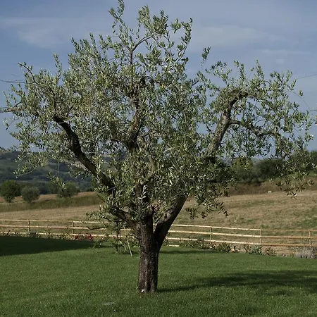 Gospodarstwo agroturystyczne Moresco Agriturismo
