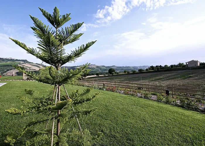 Agroturismo Moresco Agriturismo Moresco